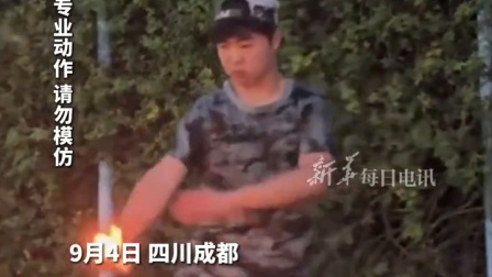 关于BRO碾压DFM,Kanavi开启传奇时刻焦点之战成都决赛之夜,点燃全场激情的信息 关于BRO碾压DFM,Kanavi开启传奇时刻焦点之战成都决赛之夜,点燃全场激情的信息