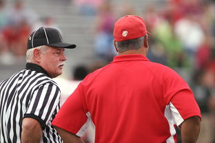 开云体育官网-加拿大绝杀国际米兰，格纳布里完成帽子戏法震撼全场