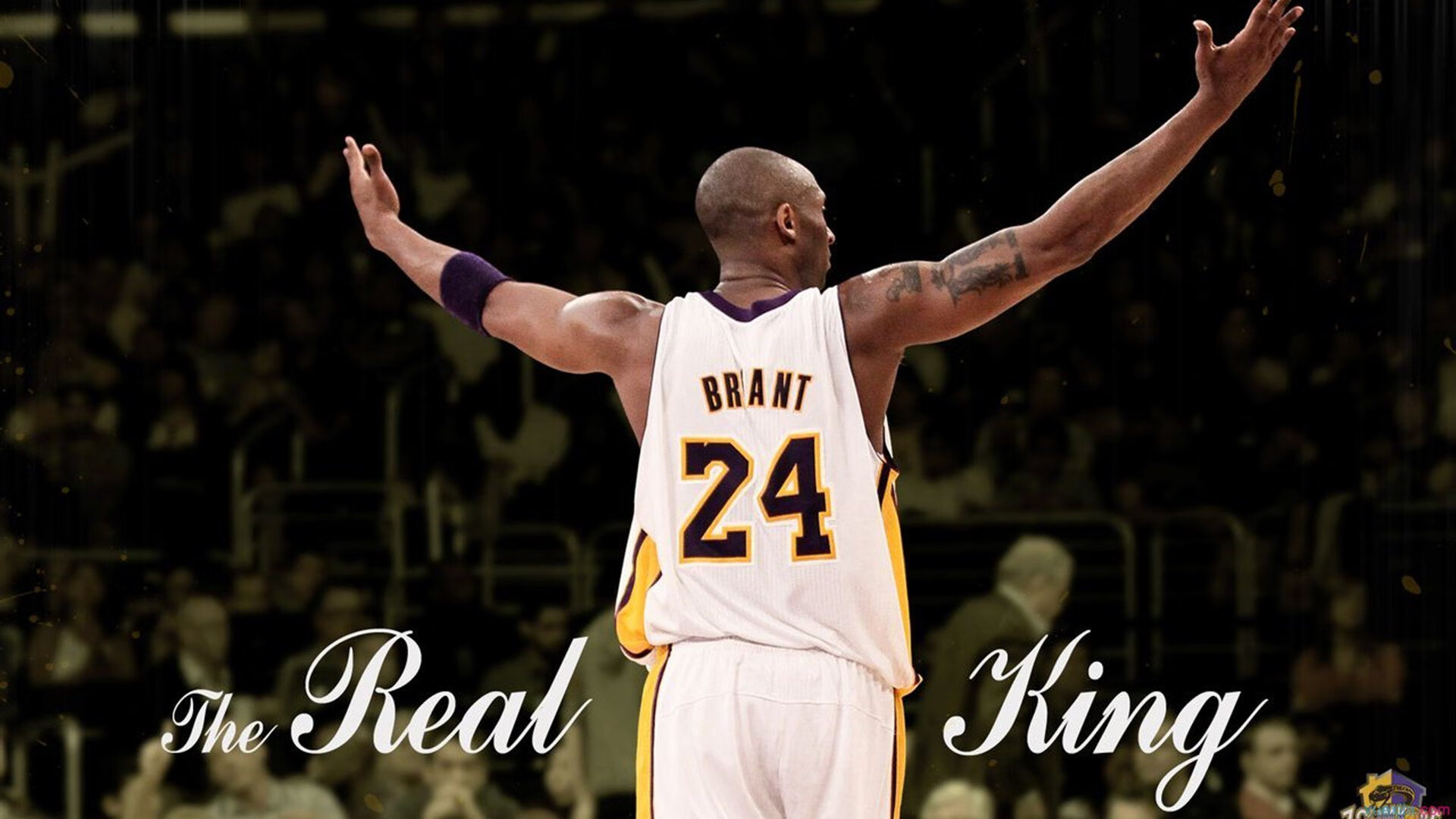 开云体育在线-西亚卡姆封神！乔治伦纳德联手救主，快船加时险胜雄鹿